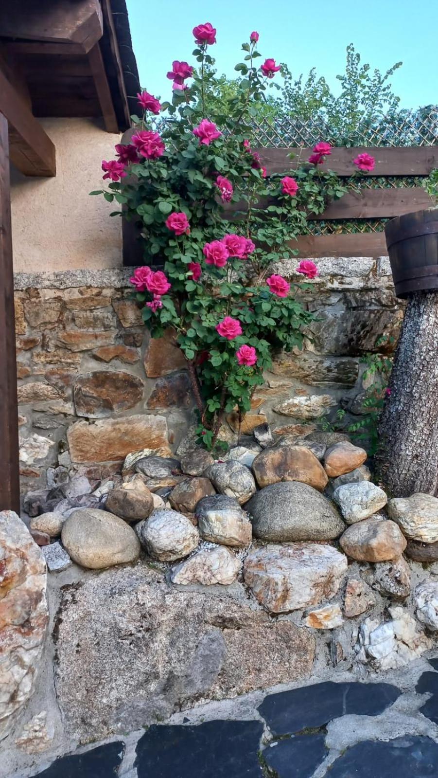 Casa Del Cura Konuk evi Rozas Dış mekan fotoğraf